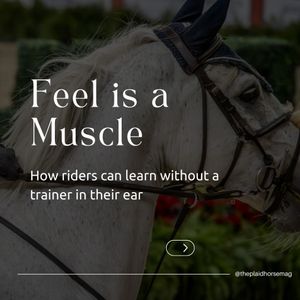 Image post by @theplaidhorsemag on Instagram