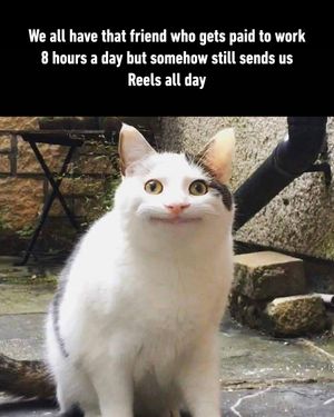 Image post by @9gag on Instagram