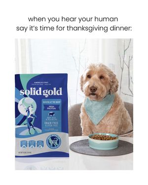 Image post by @solidgoldpets on Instagram