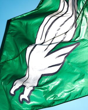 Image post by @meangreensports on Instagram