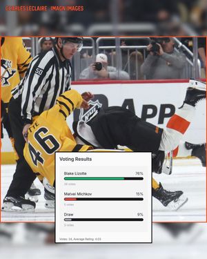 Image post by @hockeyfights on Instagram