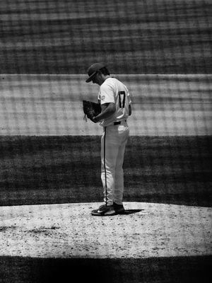 Image post by @gatorsbb on Instagram