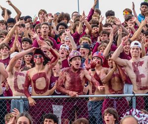 Image post by @sjci on Instagram