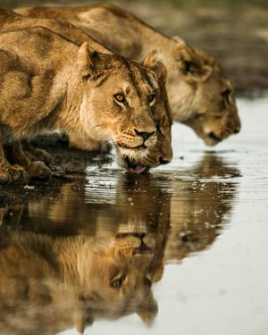 Image post by @natgeo on Instagram