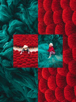 Image post by @sonyalpha on Instagram