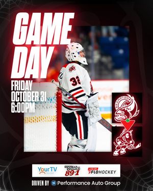 Image post by @ohlicedogs on Instagram