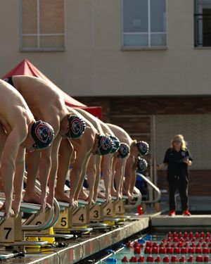 Image post by @chapmanuswimdive on Instagram