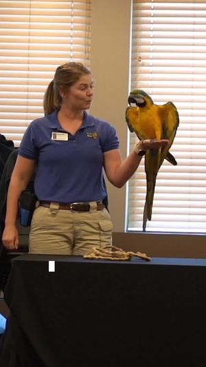 Video post by @SouthlakeLibrary on Facebook