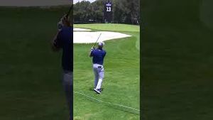 Video post by @crushersgc on YouTube