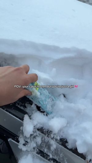 Video post by @haskbeauty on TikTok