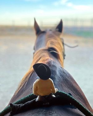 Image post by @nationalwestern on Instagram