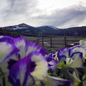 Image post by @breckenridgemtn on Instagram