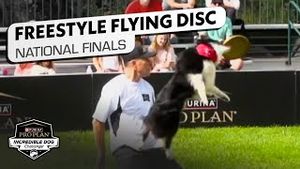 Video post by @nbcsports on YouTube