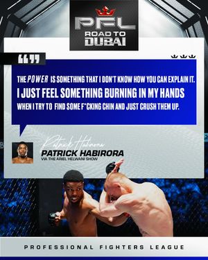 Image post by @pflmma on Instagram