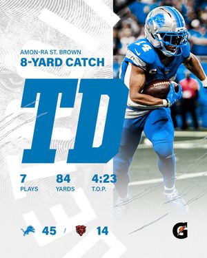 Image post by @Lions on Twitter/X