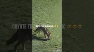 Video post by @LPGA on YouTube