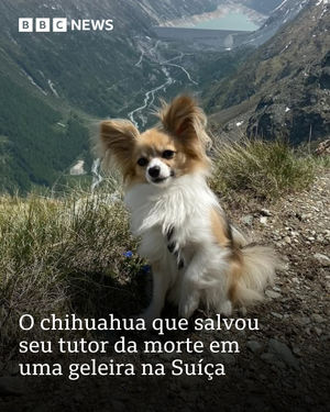 Image post by @bbcbrasil on Instagram