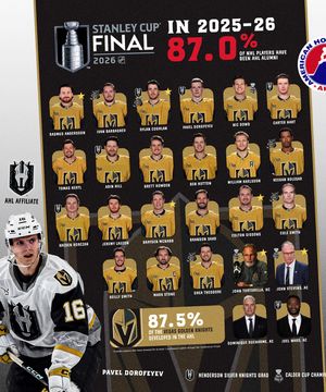 Image post by @theahl on Instagram