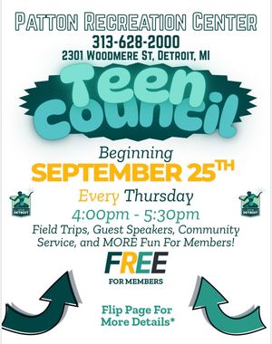 Image post by @detroitparksrec on Instagram