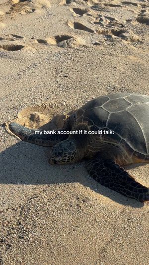 Video post by @raquel_escamilla on TikTok