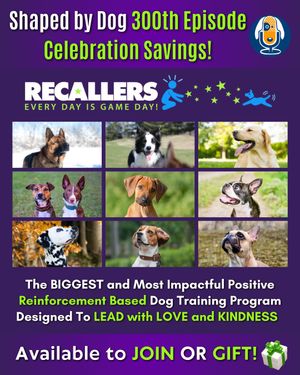 Image post by @susangarrettdogsthat on Instagram