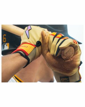 Image post by @bovadawg.visuals on Instagram