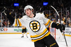 Image post by @BR_OpenIce on Twitter