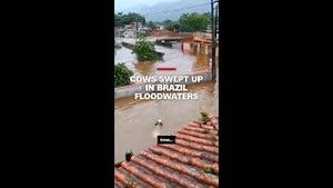 Video post by @cnn on YouTube