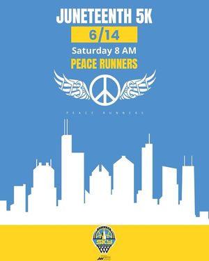Image post by @chicagoskyfoundation on Instagram