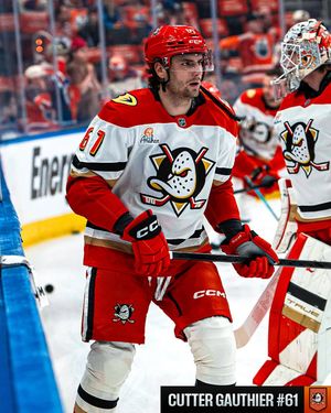 Image post by @nhl on Instagram