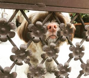Image post by @sonalibarthwall on Instagram