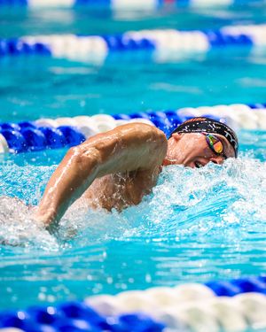 Image post by @gatorsswimdv on Instagram