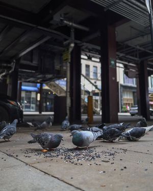 Image post by @grohoskephotography on Instagram