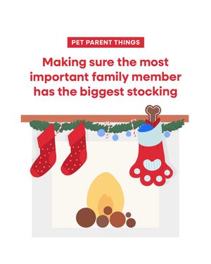 Image post by @petsmart on Instagram