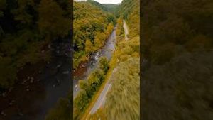 Video post by @nisflix on YouTube