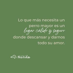Image post by @tierradenando on Instagram