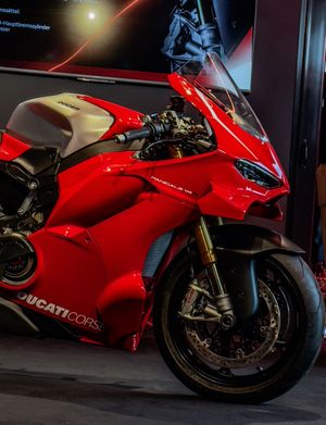 Image post by @panigalers on Instagram