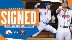 Image post by @UTAMavsBSB on Twitter