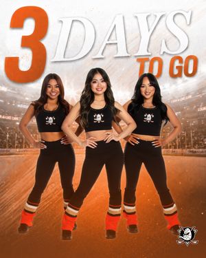Image post by @anaheimduckspowerplayers on Instagram