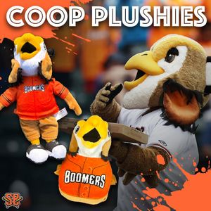 Image post by @boomersbaseball on Instagram
