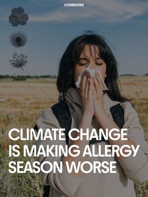 Image post by @commonsearth on Instagram