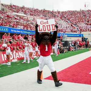 Image post by @hoosierthebison on Instagram