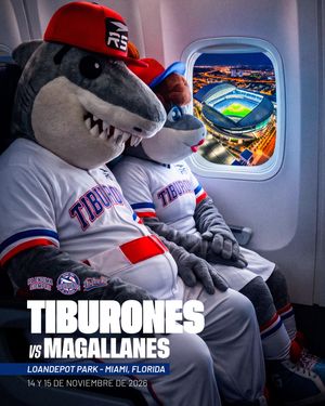 Image post by @tiburonesbbc on Instagram