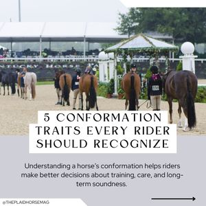 Image post by @theplaidhorsemag on Instagram