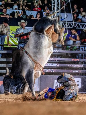 Image post by @pbrbrazil on Instagram