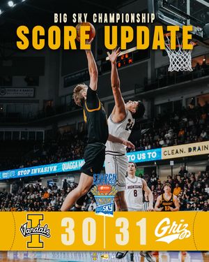 Image post by @vandalhoops on Instagram