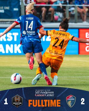 Image post by @HoustonDash on Twitter