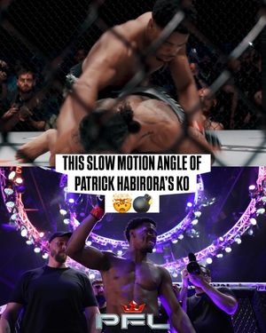 Image post by @pflmma on Instagram