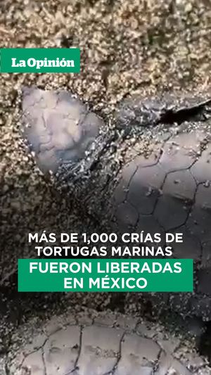 Image post by @laopinionla on Instagram