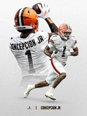 Video post by @browns on TikTok